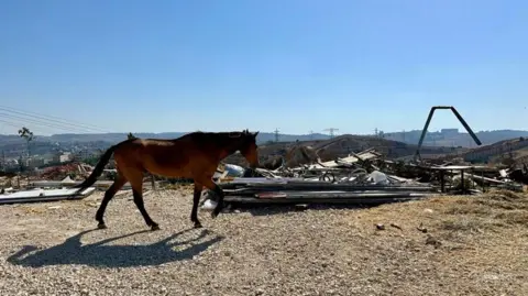 A horse trots by a completely destroyed stable