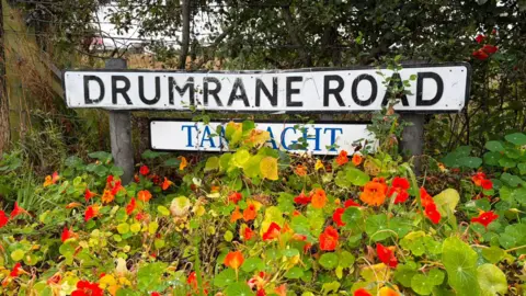 A white road sign says Drumrane Road in black capital letters on a white background. There are red, orange and yellow flowers in front of it and a green hedge behind it.
