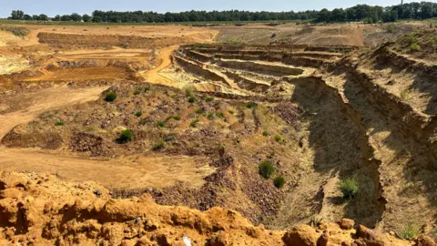 Kate Bradbrook/BBC Sandy Heath Quarry