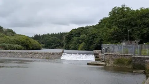 Lopwell Dam near Plymouth. Water is flowing in the dam. Green trees surround the dam.