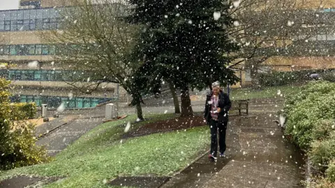 Snow falls on the University of Surrey campus in Guildford, flakes dropping gently around a large fir tree, as a person walks past.