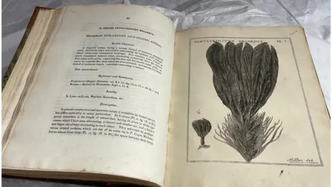 BBC Book once owned by Mary Anning, open to a page showing a drawing of a fossil
