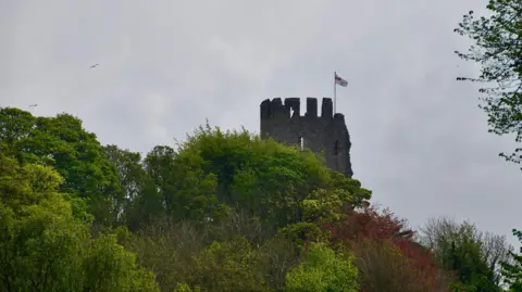 John Bray The turrets of Dudley Castle, with a flag flying, can be seen above green and red trees. 