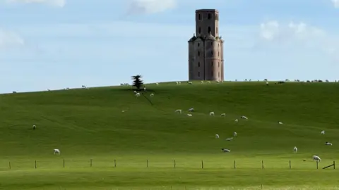 CeliMac An 18th Century folly on a hill, livestock below.