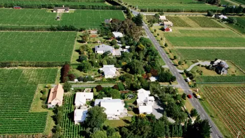 Getty Images An aerial shot of a road lined with numerous vineyards 