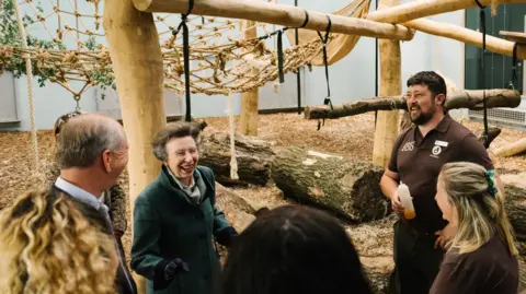 Robbie Dark Photography Princess Anne is laughing as she stands in the enclosure talking to staff. They are under a large wooden climbing frame and can get a sense of the height of the new space.