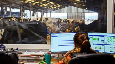 Sala de ordeño con una mujer estudiando dos pantallas de computadora frente a las vacas