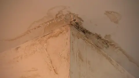 Mould and water damage visible on the corner of a ceiling and wall.