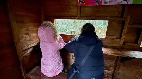 Two people wearing coats are sitting next to each other inside a wooden hut. They are looking out through a gap in the hut at two bird feeders in a woodland setting.