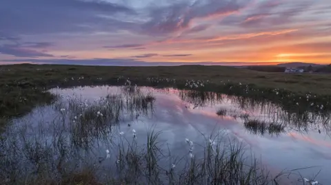 Flow Country Partnership Flow Country