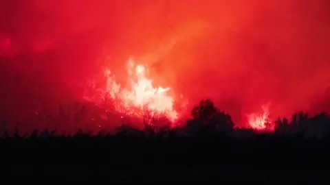 Wildfires engulf the landscape in southern France