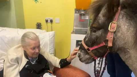 Jean Halls strokes a Shetland pony's nose as she sits in an armchair. The pony is a dark grey colour and wears a pink headcollar. Jean has grey hair and wears a cream coloured cardigan with a dark top on underneath.