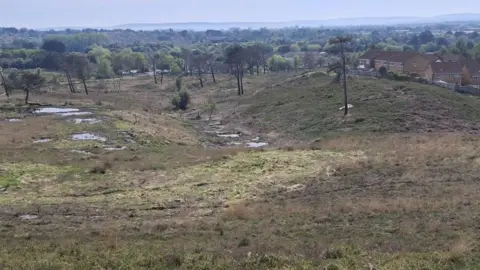 BCP Council The image of the recovered heath, which has bogs, trees and green grass