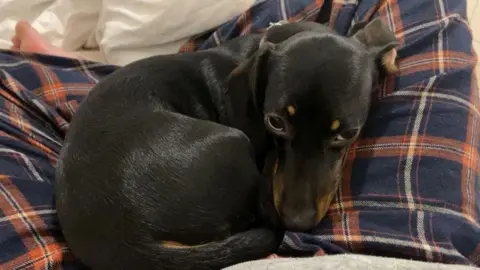 Family photo Mila sitting on tartan blanket