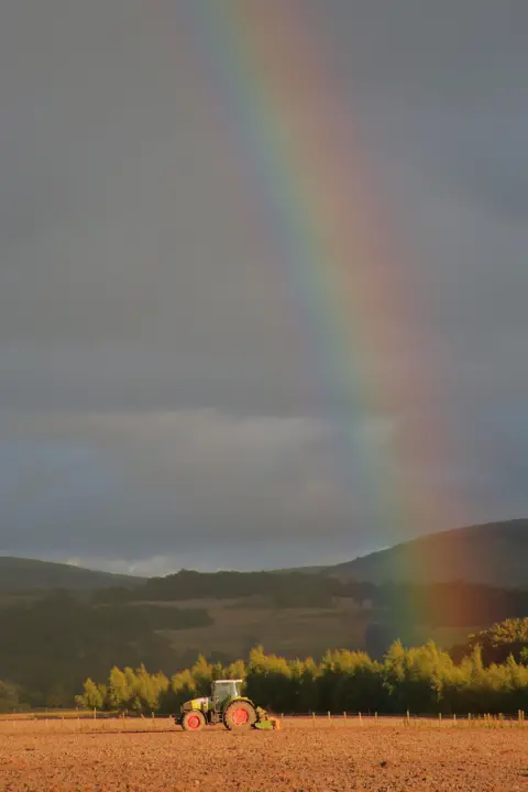 Walter Dalgleish A tractor in a field, with a rainbow arching overhead, with hills in the distance.