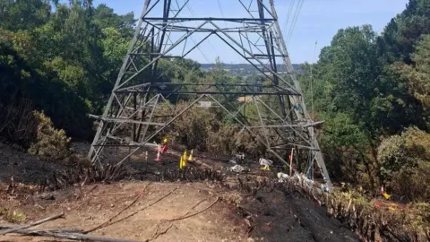 HIWFRS Scorched earth below a large electrical pylon.