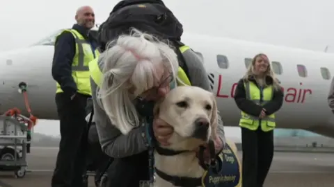 A guide dog in front of a plane at Southampton Airport