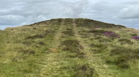 Tyre marks on grass heading away from camera towards a mound at the top of a hill where a Bronze Age burial site lies