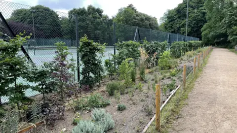 BBC/Jo Makel A long bed featuring small shrubs and plants. It is edged by a wire fence and a gravel path. Several tennis courts are also visible behind a chain link fence.