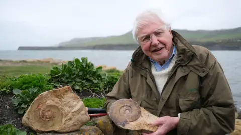 PA Media Sir David Attenborough, wearing a large green coat over a white jumper and blue collared shirt, stands on the edge of what appears to be an estuary. He is holding a fossil, shaped like the shell of a snail, in his hand. He is wearing some clear safety glasses. 