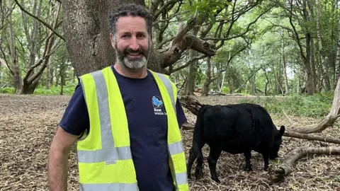 A man stood in a forest wearing a high-visibility vest. There is a black cow behind him. 