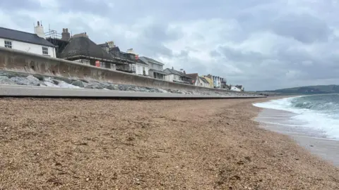 Shingle on a beach. Houses are peering over the top of a sea wall above the beach. Waves are lapping on the shore. The sky is grey.