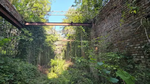 Swansea Council Bare brick walls and missing areas of walls can be seen, along with some of the original roof support structure. The area is overgrown with plants, shrubs and trees.