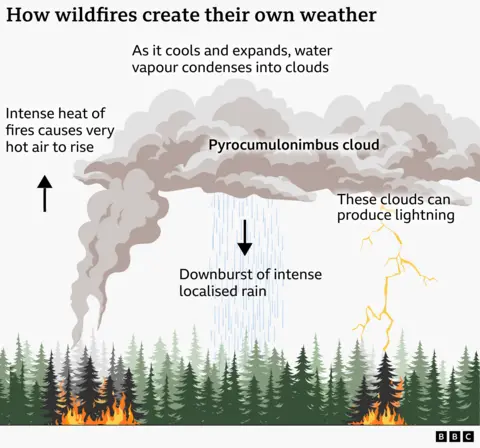Infographic titled “How wildfires create their own weather.” A forest wildfire at the bottom of the image sends a column of very hot air and smoke upward into a large pyrocumulonimbus cloud. Labels explain that intense heat causes hot air to rise, and that as the air cools and expands, water vapour condenses into clouds. The cloud produces a localized downburst of heavy rain shown by a downward arrow and blue rainfall, and lightning strikes shown on the right. The diagram illustrates how large wildfires can generate their own weather systems.