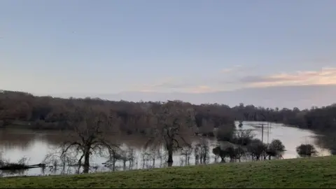 BBC Weather Watcher Allison Clumps of trees sumberged in water with a green bank in the foreground.