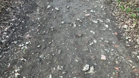 David Spereall/BBC A muddy footpath strewn with rocks and bricks.