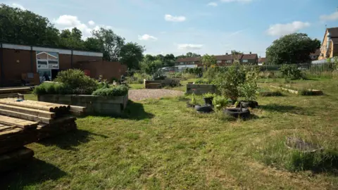 Jack Raper An open grass space with plants scattered around