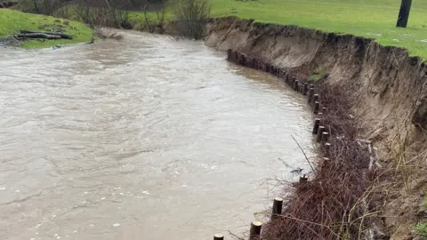 Tees Rivers Trust A row of wooden stakes have been installed at the base of an eroding riverbank. Behind the stakes piles of thin sticks have formed a barrier. Willow whips have been planted further back in the bank. The river water is brown.