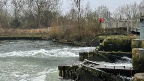 Holly A river scene with the water bubbling on the surface as it comes from under a bridge. A bridge crosses over the water with a tree line seen in the background under grey skies.