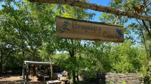 The Dragonfly Centre forest school at Lanjeth Nursery and Water Gardens. It is a sunny day and a wooden sign for the forest school is hanging from a wooden gate. Several trees are in the school along with a shelter, tables and chairs.