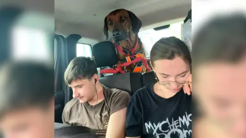Larysa Martseva Two young people sit side‑by‑side in the back seat of a car. A boy is wearing earphones and a brown T‑shirt; a girl is dressed in a black graphic T‑shirt. Behind them, a large brown dog in a bright orange harness is perched on the rear seat. Bags or belongings are visible behind the dog.
