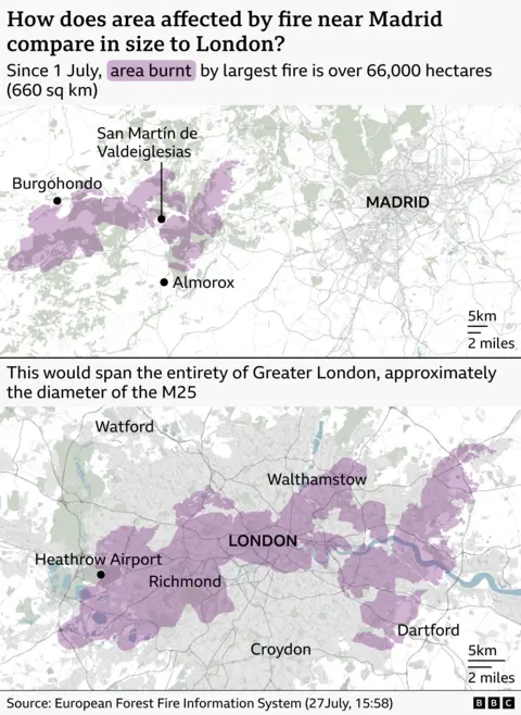 Two-map infographic comparing the area burned by a major wildfire near Madrid with the size of Greater London. The top map shows a burned area shaded in purple west of Madrid, around San Martín de Valdeiglesias, Burgohondo and Almorox. The headline states that since 1 July the largest fire has burned more than 66,000 hectares (660 sq km). An inset map locates the affected area within Spain. The lower map overlays the same purple-shaded area on Greater London, showing that it would stretch across much of the capital from near Heathrow Airport and Richmond in the west through central London toward Walthamstow and Dartford in the east. The graphic notes that the burned area would span the entirety of Greater London, approximately the diameter of the M25. Source: European Forest Fire Information System (27 July, 15:58).