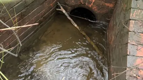 Matt Jack A brick river drain with a circular entrance, half filled with water. No grate in front. 