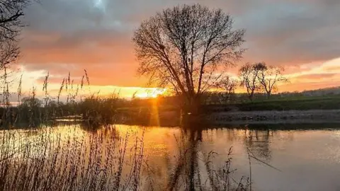 Spacewalker Tree with sun setting in the background and water in front of it at Elmore in Gloucestershire