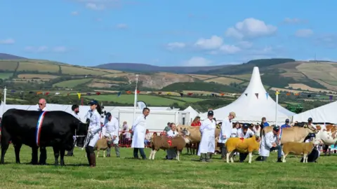 Animals lined up in the showring with their handlers wearing white coats.