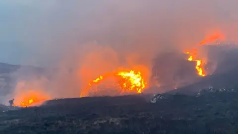 A small figure in the bottom left of the photo is dwarfed by large flames spreading across a dark wilderness landscape. 