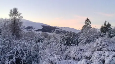 Snow covered trees and hills below an organge morning sky