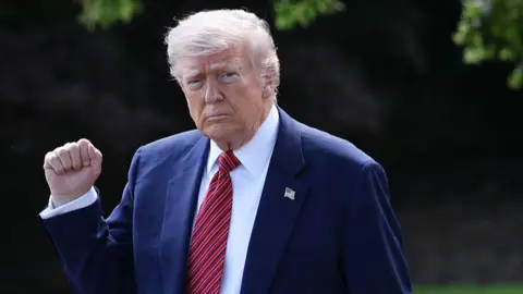 President Donald Trump on the South Lawn of the White House on 23 May 2025 