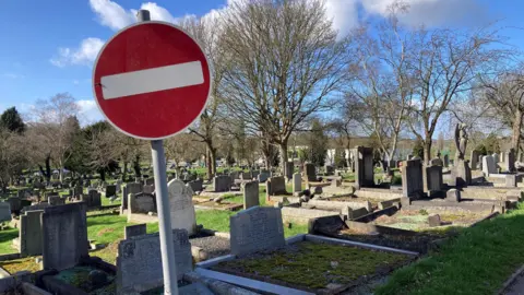 A picture of Abbey cemetery, showing several rows of graves.