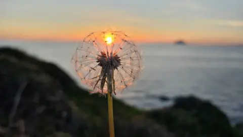 sunset 