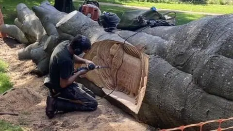 Cirencester Town Council Andy O'Neil carving animal pictures into a felled Beech tree