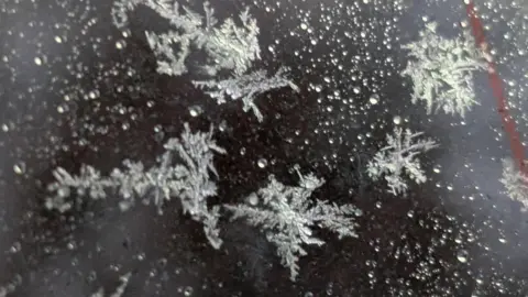 BBC WEATHER WATCHERS /THEADDER A close up of snowflakes on a glass pane. 