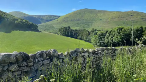 A dry stone wall in the foreground has rolling hills behind it with a row of trees on either side of the picture