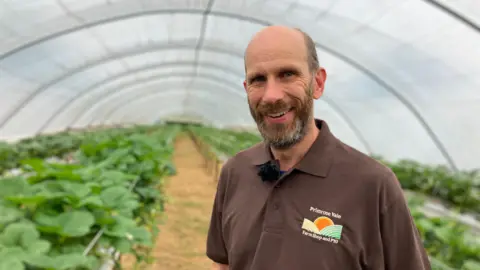 A man stands in a spacious greenhouse at Primrose Vale Farm Shop, surrounded by neatly arranged rows of green plants. He wears a brown polo shirt bearing the farm's logo. There is a natural light illuminating the well-maintained crops lining a central pathway.