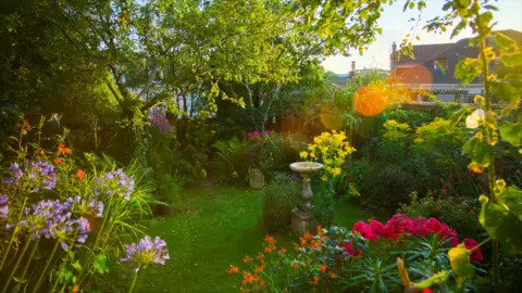 Plimsoll Productions A wide shot of Louise Vergette's back garden. It has a grassy patch in the middle with a small stone bird bath. The perimeters are brimming with different types of trees, plants and pink, purple and yellow flowers. The light is a soft orange as the sun appears to set over other houses to the right.