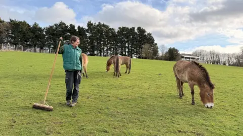 Marwell Zoo Rhiannon Wolff smiling at a green field at Marwell Zoo. She is holding a large brush and is looking at what appear to be Przewalski's horses that are grazing nearby.